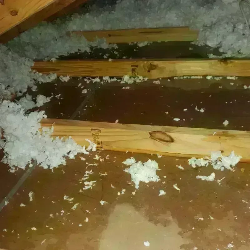 Attic Water Damage in Le Roy, IL