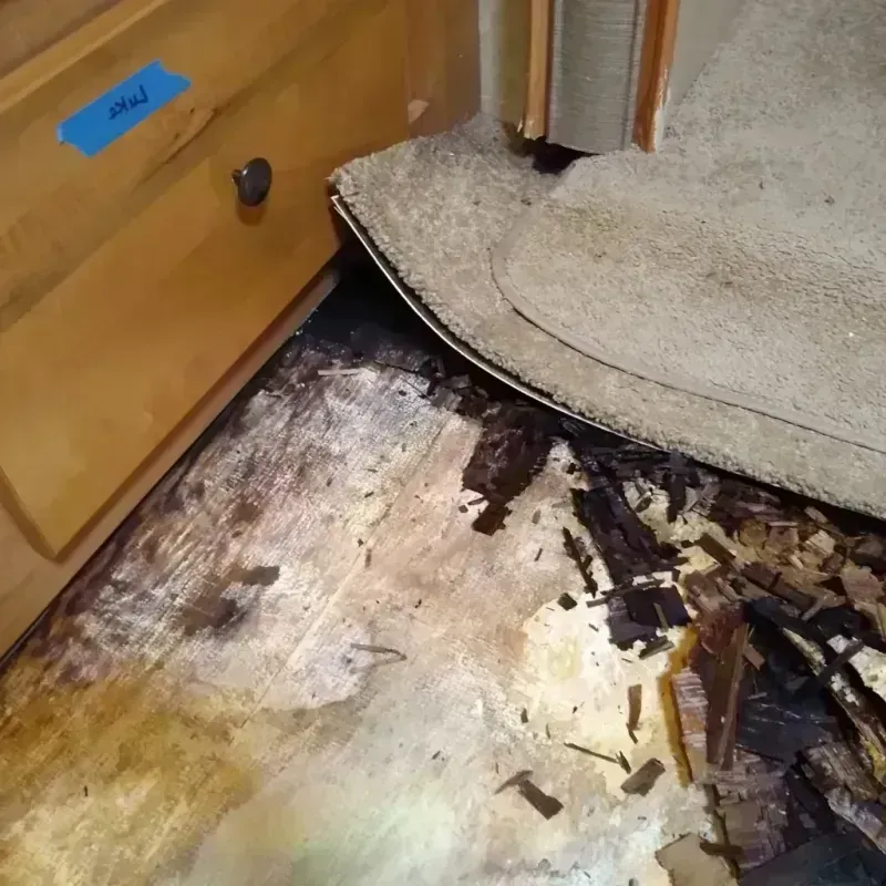 Best Wood Floor Water Damage Service in Le Roy, IL